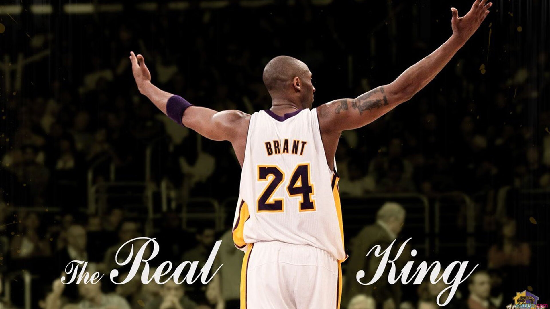 CBA球员用实力赢得球迷喝彩,cba球员用实力赢得球迷喝彩的是谁